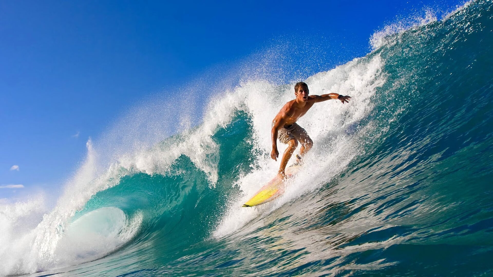 范弗利特降维打击引爆CBA，福建横扫浙江背后的战术革命
